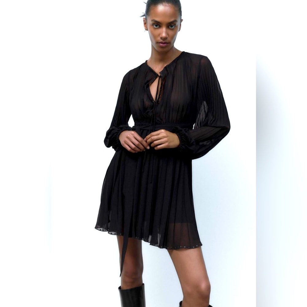ZARA Pleated Dress